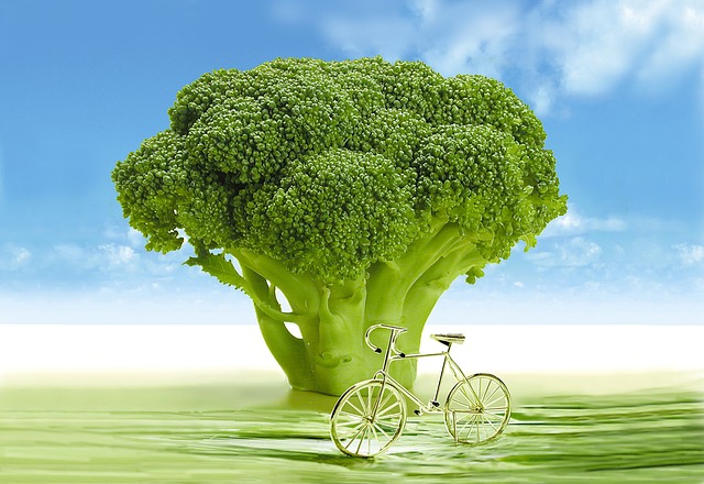 brokolice-abeceda zdraví