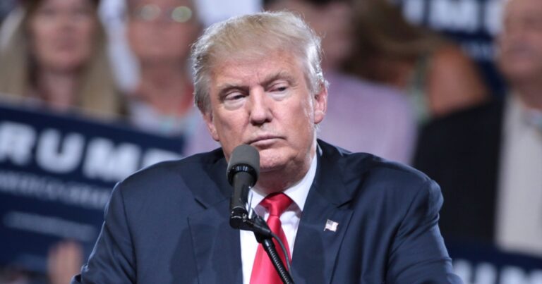 Fotografie Donalda Trumpa