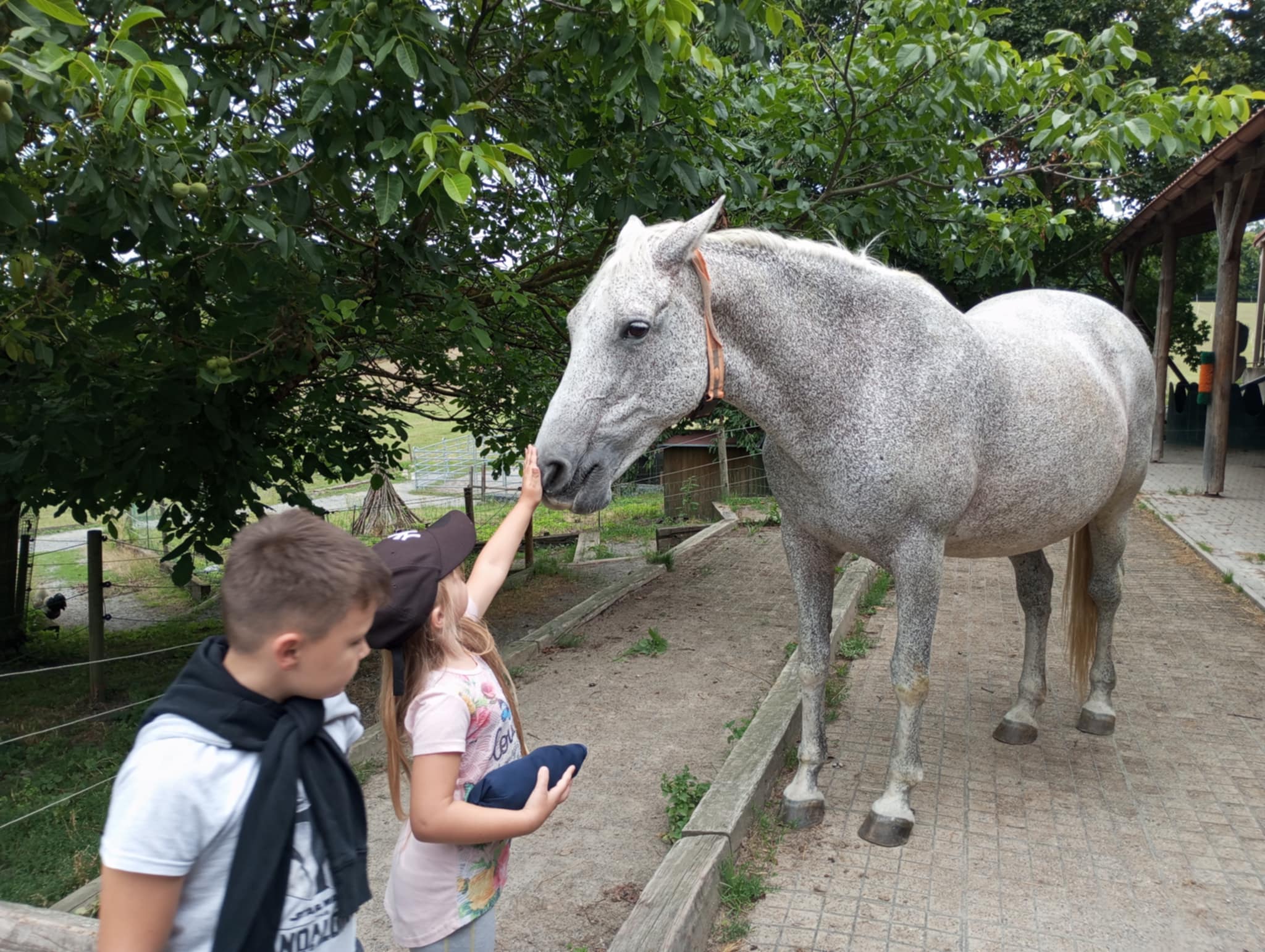 Fotografie ze statku Václava Vydry