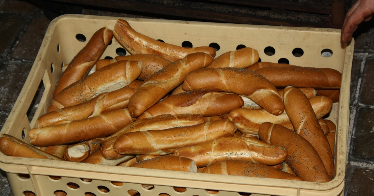 Fotografie rohlíků