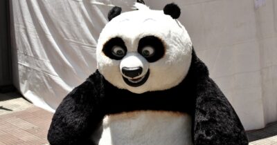 Fotografie Kung Fu Pandy