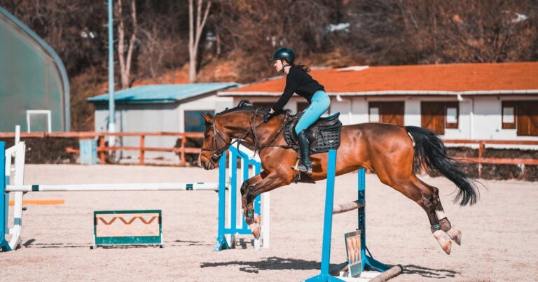 Fotografie jezdkyně na koni