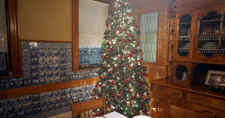 Fotografie vánočního stromečku