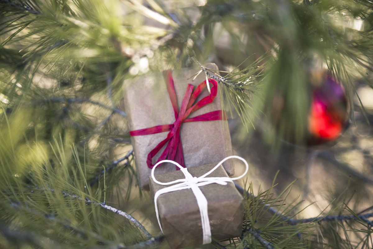 Fotografie dárků pod stromečkem