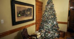 Fotografie vánočního stromečku