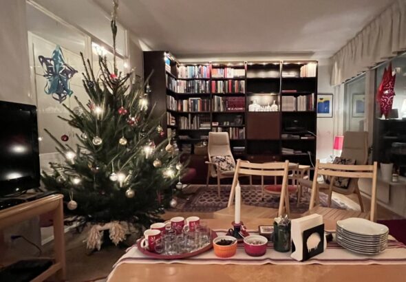 Fotografie vánočního stromečku