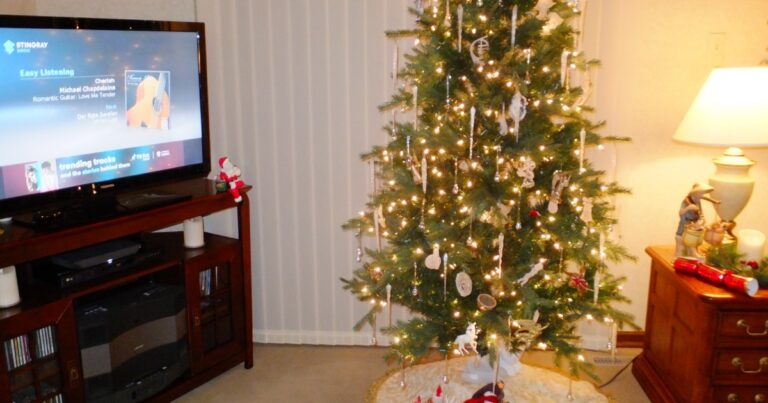 Fotografie vánočního stromečku