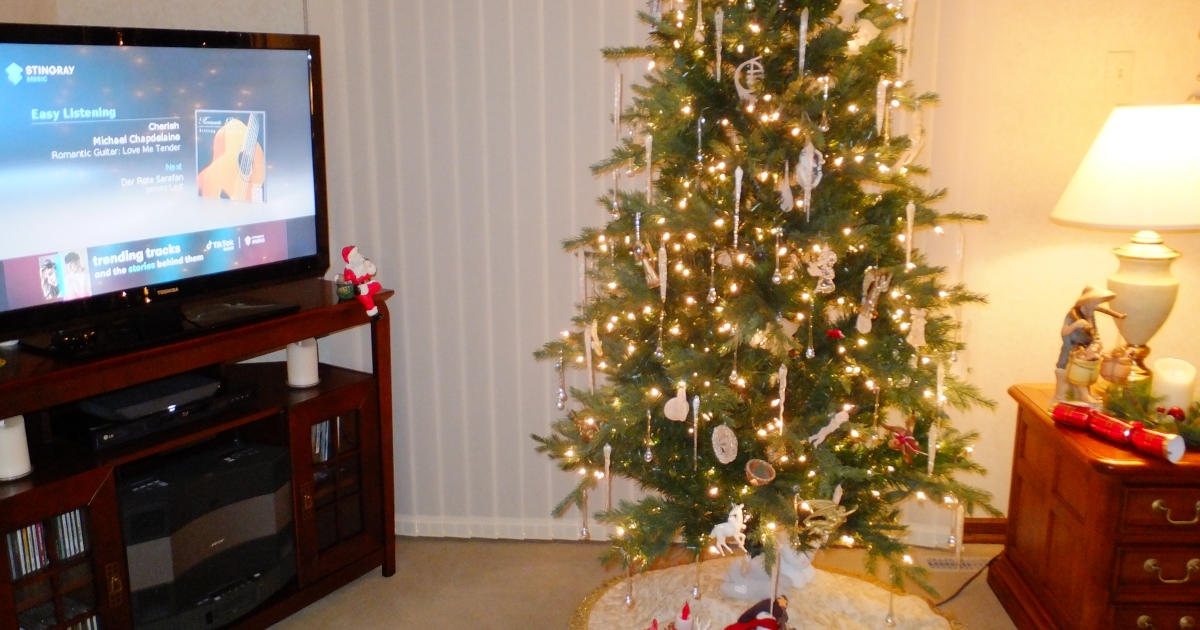 Fotografie vánočního stromečku