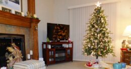 Fotografie vánočního stromečku