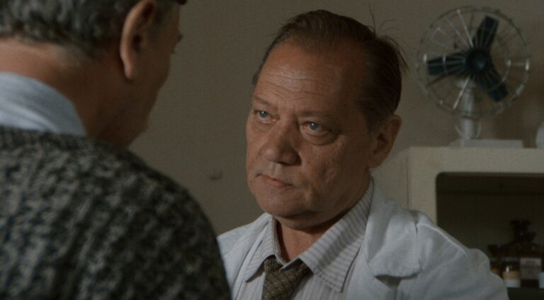 Doktor, Vesničko má středisková