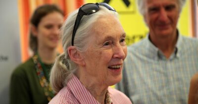 Fotografie Jane Goddall