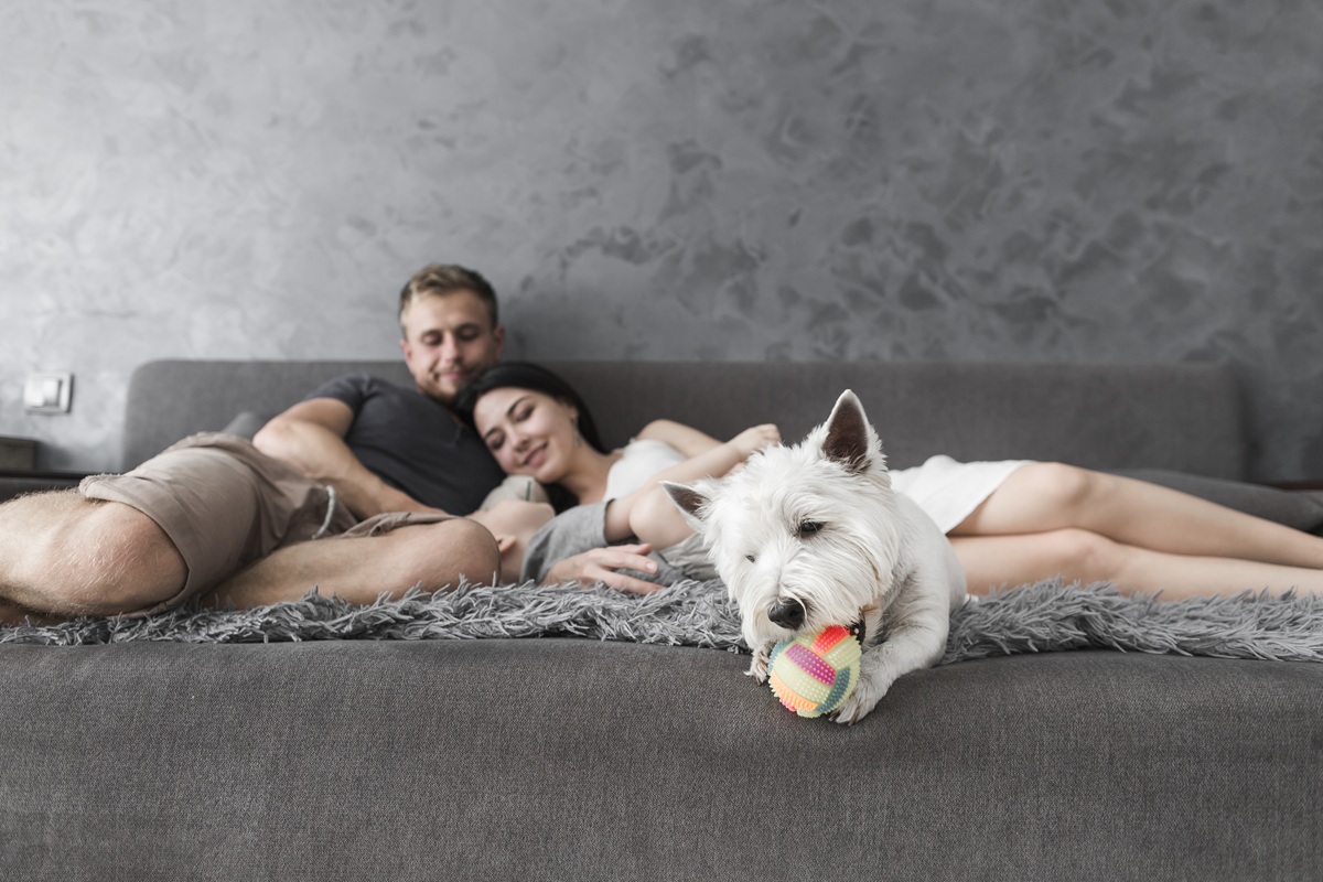 Fotografie psa a mladého páru v posteli